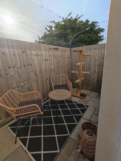 IMG-20260526-WA0029.jpg