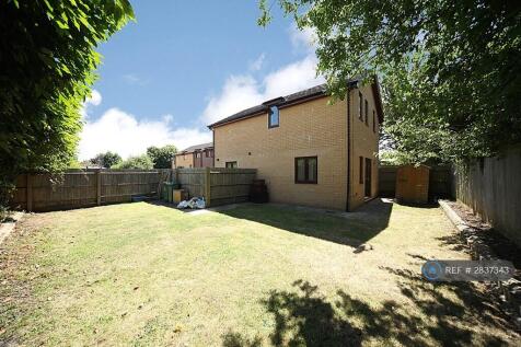 Back Garden