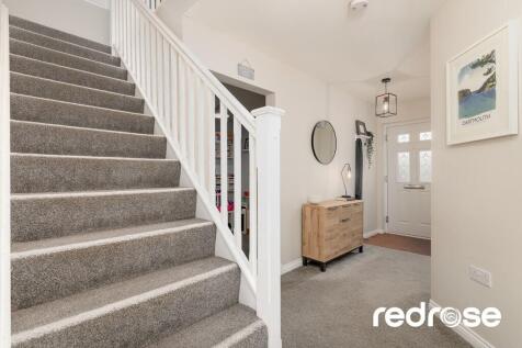 web_16 Old Thorns...