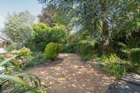 Back Garden