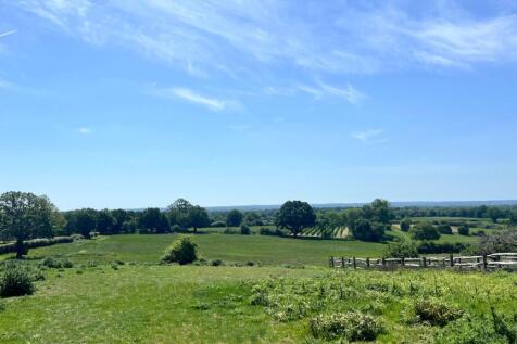 Paddock with Southerly Views