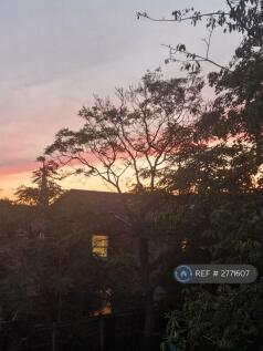 View From Kitchen