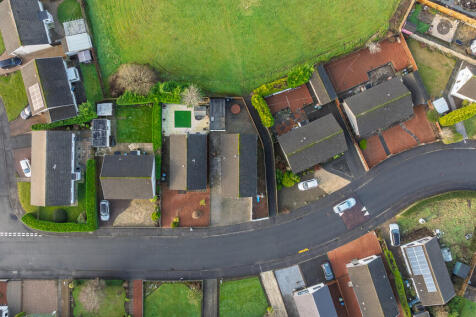 Ali Watt Photogra...