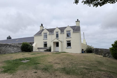 IMG_1229 3.JPG
