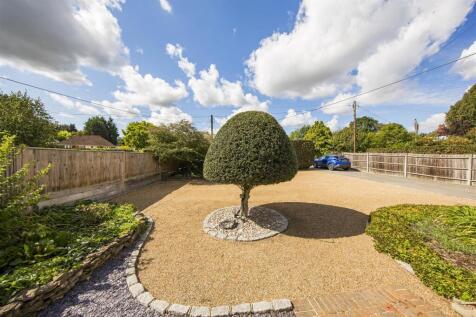 Stunning Garden / Drive