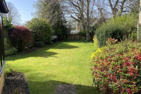 garden.JPG