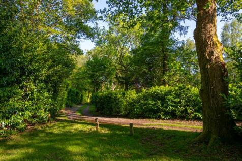 Juniper Stables woodlands-6.jpg