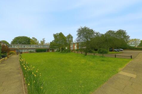 Communal Garden