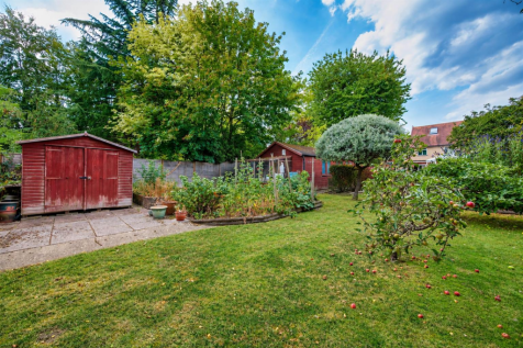 Rear garden 5.png