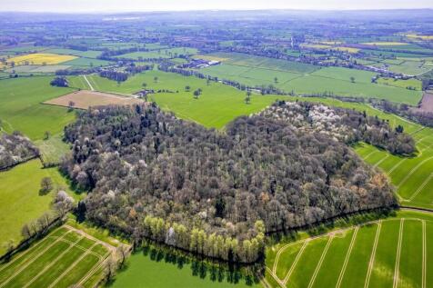 DJI_0275.jpg
