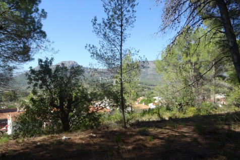 Image 13