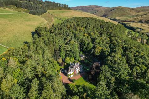 Aerial View Woodland