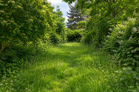 Garden New.png