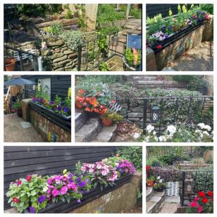 Selection of Garden Pictures.jpg