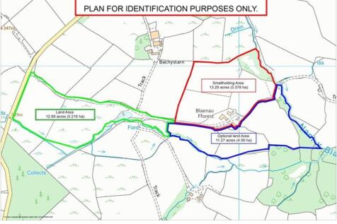 Blaenau Forest Land plan.jpg