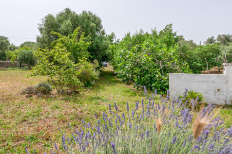 0022230-039_trullo_sessana_for_sale_ostuni_puglia_ital