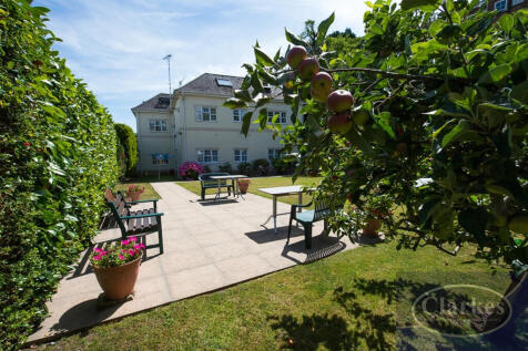 back garden 2
