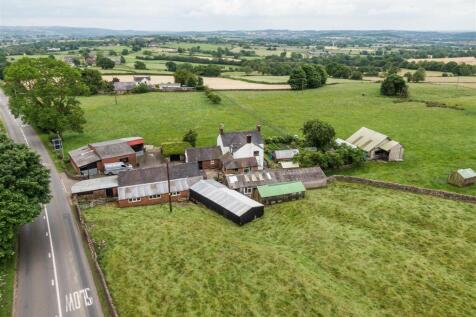 Sunnyside Farm-7.jpg