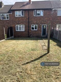 Back Garden