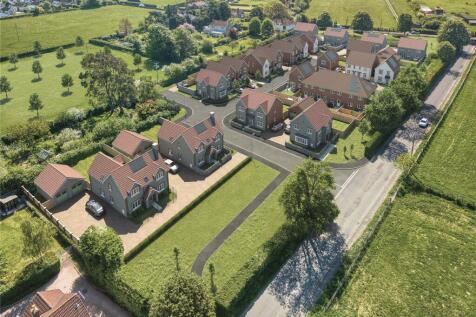 Development Cgi
