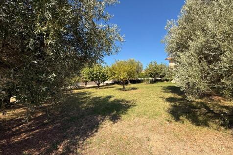 Outside Garden