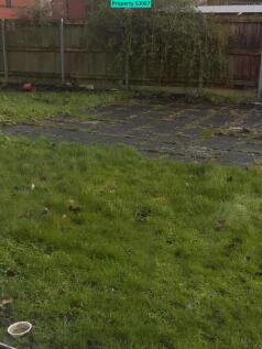 Back garden