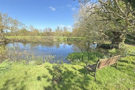 Pond.JPG