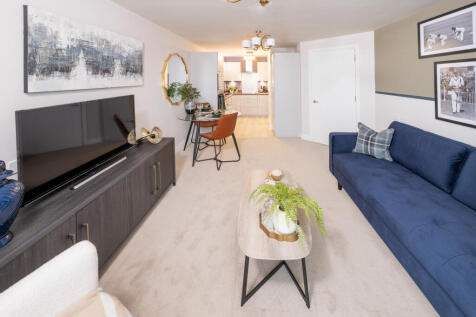 Show home living room
