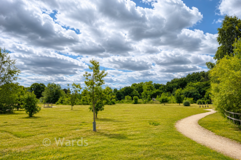 Onsite Parkland.