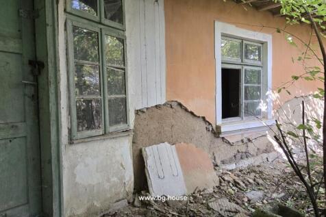 Detailed view of the house wall showing peeling plaster, a green wooden door, and windows surrounded by vegetation.