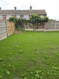 Garden.jpg