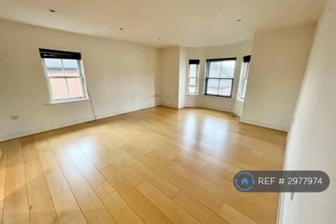 Spacious Living /Dinning Room 