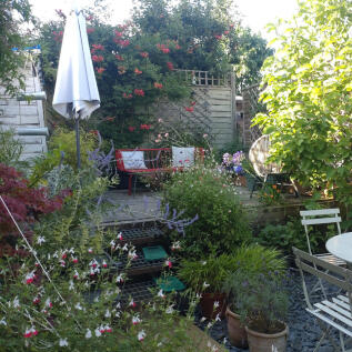 Property Image 24