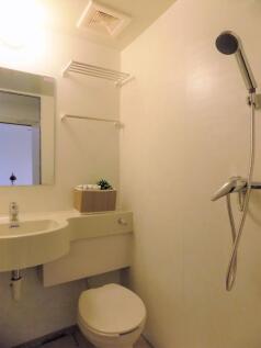 Compact, well-maintained bathroom with a wall-m...