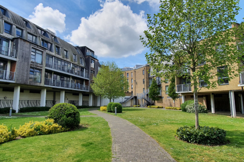 Communal Garden