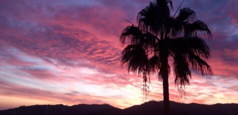 Sunsets