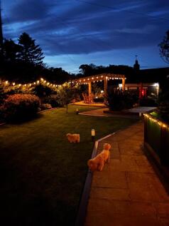 1 Myreside Cottage Newport-49.jpg