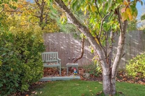 P1013227-3adb353ebe81684c86b50aee6b8f376c - 800px.