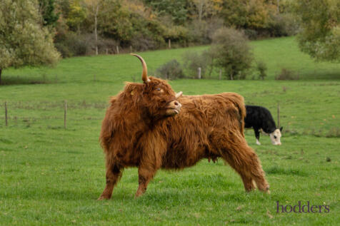 0ede508e-73aa-494...