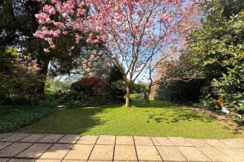 Rear Patio