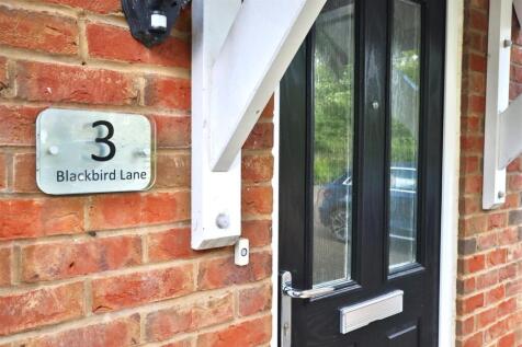 2024-10-05 11.00.52.jpg