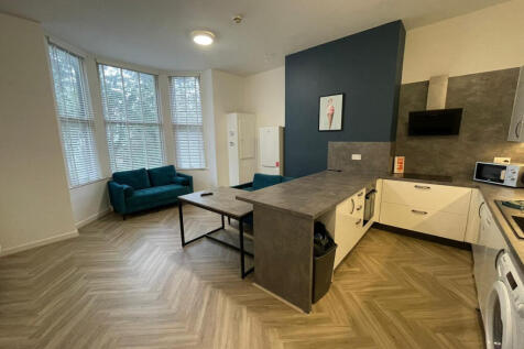 Living / Kitchen Area