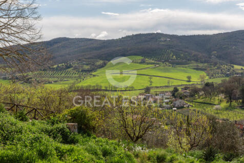 Panorama e Particolari