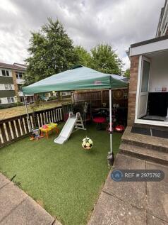 Back Garden 