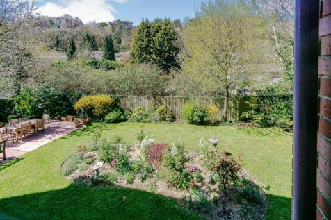 Rear Views of Garden