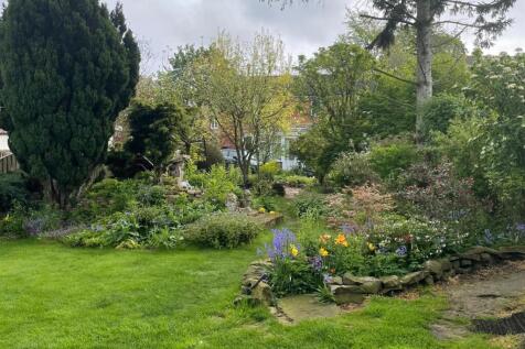 Rear Garden Summer