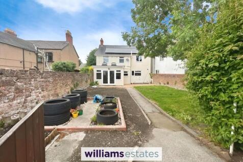 Back Garden