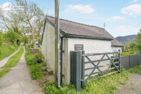 IMAGE 12