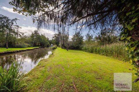 Along The River Bank
