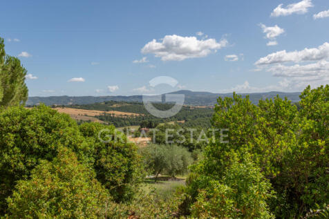 Panorama e Particolari